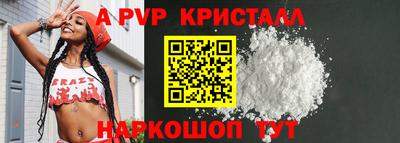 крисы Камышлов