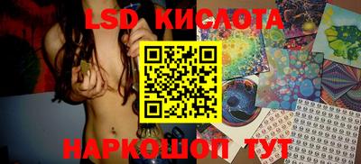 крисы Камышлов