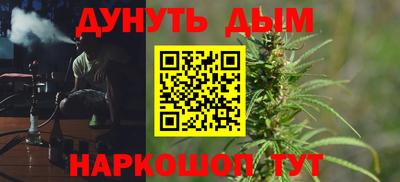 крисы Камышлов
