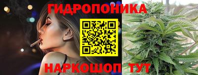 стаф Кандалакша