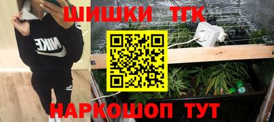 крисы Камышлов