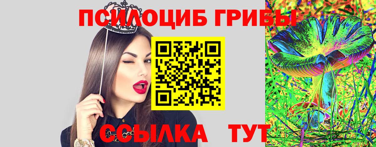 Галлюциногенные грибы прущие грибы Красноярск